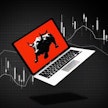 Bull Investor's avatar