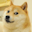 Doge's avatar